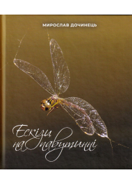 Ескізи на павутинні