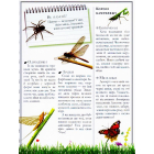 Boys’ Book. Підручник відважного мандрівника