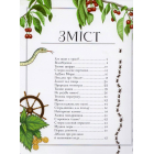 Boys’ Book. Підручник відважного мандрівника