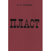 Пласт