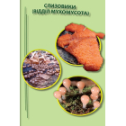 Гриби України. Атлас-довідник