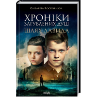 Хроніки загублених душ. Шлях Давида