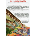 Цікаві історії. Навчайся – розважайся