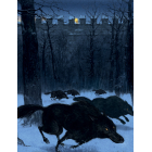 Лицар Сич і Рання Пташка. Книжка 2