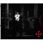 Вишиваний. Король України / Vyshyvanyi. Der König der Ukraine