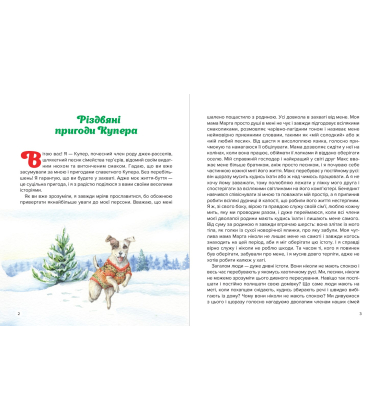 Різдвяні пригоди Купера