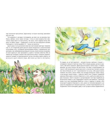 Різдвяні пригоди Купера