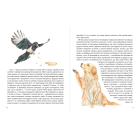 Різдвяні пригоди Купера