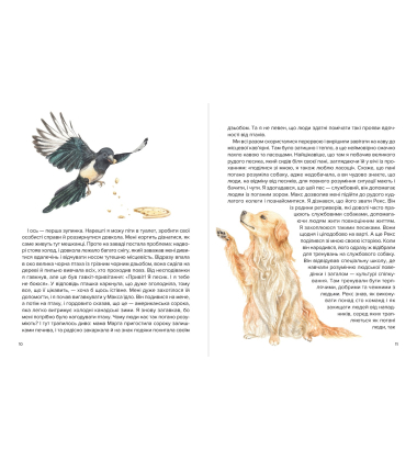 Різдвяні пригоди Купера