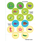 Зоопарк. Аплікації з наліпками