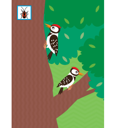 Наклей, малятко! Фир-фир! Хто живе в лісі?