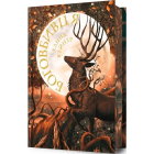 Боговбивця. Книга 1 (Занепалі боги) (Limited edition)