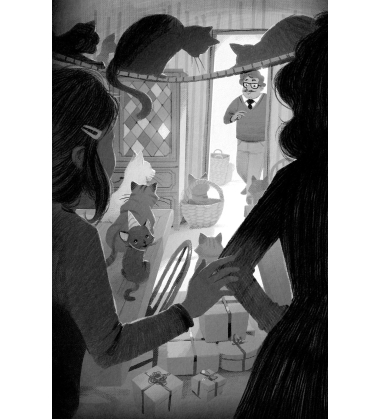 Опівнічні коти. Книжка 4. Кіт-привид із Бейкерлу