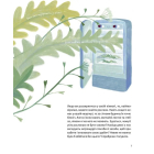 Хто такі хижі рослини?