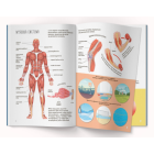 Книжка з наліпками. Тіло людини