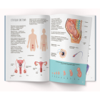 Книжка з наліпками. Тіло людини