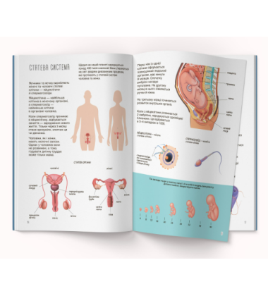 Книжка з наліпками. Тіло людини