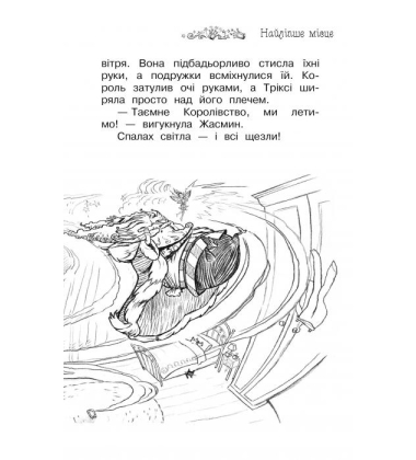 Таємне Королівство. Книга 1. Заворожений палац