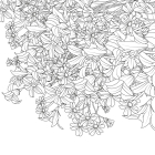 Квітучі сади