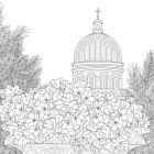 Міські джунглі