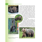 Енциклопедія для допитливих. Батьки і діти у тваринному світі