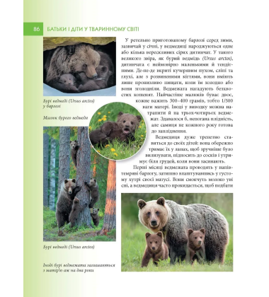 Енциклопедія для допитливих. Батьки і діти у тваринному світі