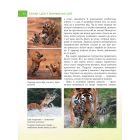 Енциклопедія для допитливих. Батьки і діти у тваринному світі