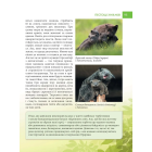 Енциклопедія для допитливих. Батьки і діти у тваринному світі