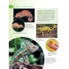 Енциклопедія для допитливих. Рептилії – жахливі й чудові