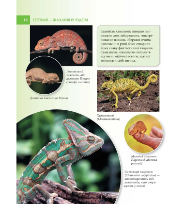 Енциклопедія для допитливих. Рептилії – жахливі й чудові