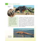 Енциклопедія для допитливих. Рептилії – жахливі й чудові