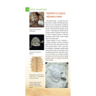 Енциклопедія для допитливих. Рептилії – жахливі й чудові