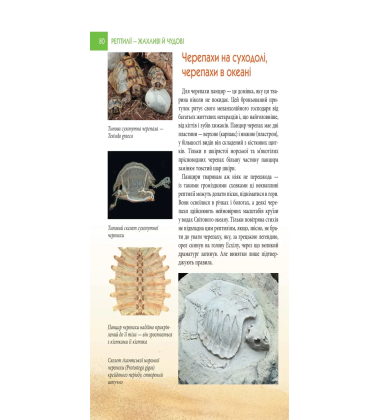 Енциклопедія для допитливих. Рептилії – жахливі й чудові