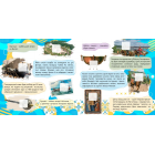 Україна. 100 цікавинок (+98 наліпок)