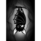 Таємниця Крижаних гір