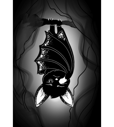 Таємниця Крижаних гір