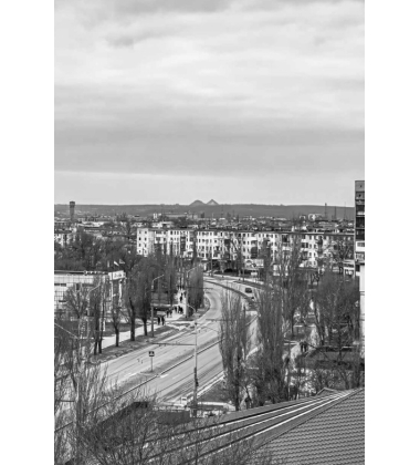 Нас вирвали з корінням