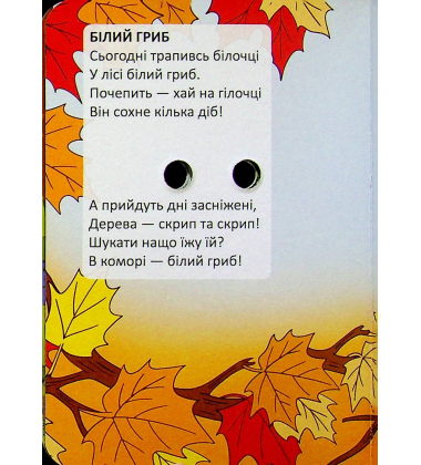 Панчішки для гусей (Книжка з оченятами)
