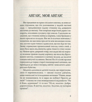 Англіє, моя Англіє та інші оповідання (English Library)