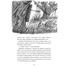 Сага про Літокрилів. Книга 2. Шлях на північ
