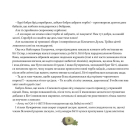 День усіх білок