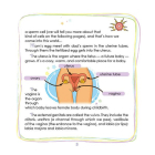 Private needs explained to kids. Let’s talk it out with parents and without