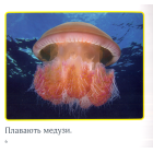 Океан