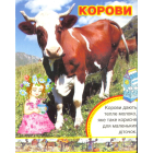 Наші помічники