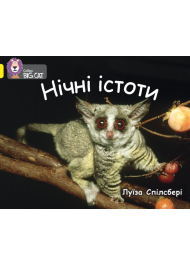Нічні істоти