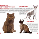 Велика книжка. Кішки