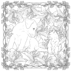 Арт-квадрат. Кошенята