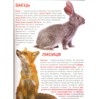 Велика книжка. Тваринний світ України