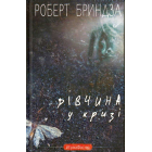 Дівчина у кризі. Детективний роман про Еріку Фостер