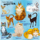 Про котів. Від вушок до хвостів